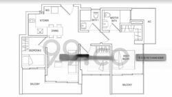 eon-shenton photo thumbnail #9